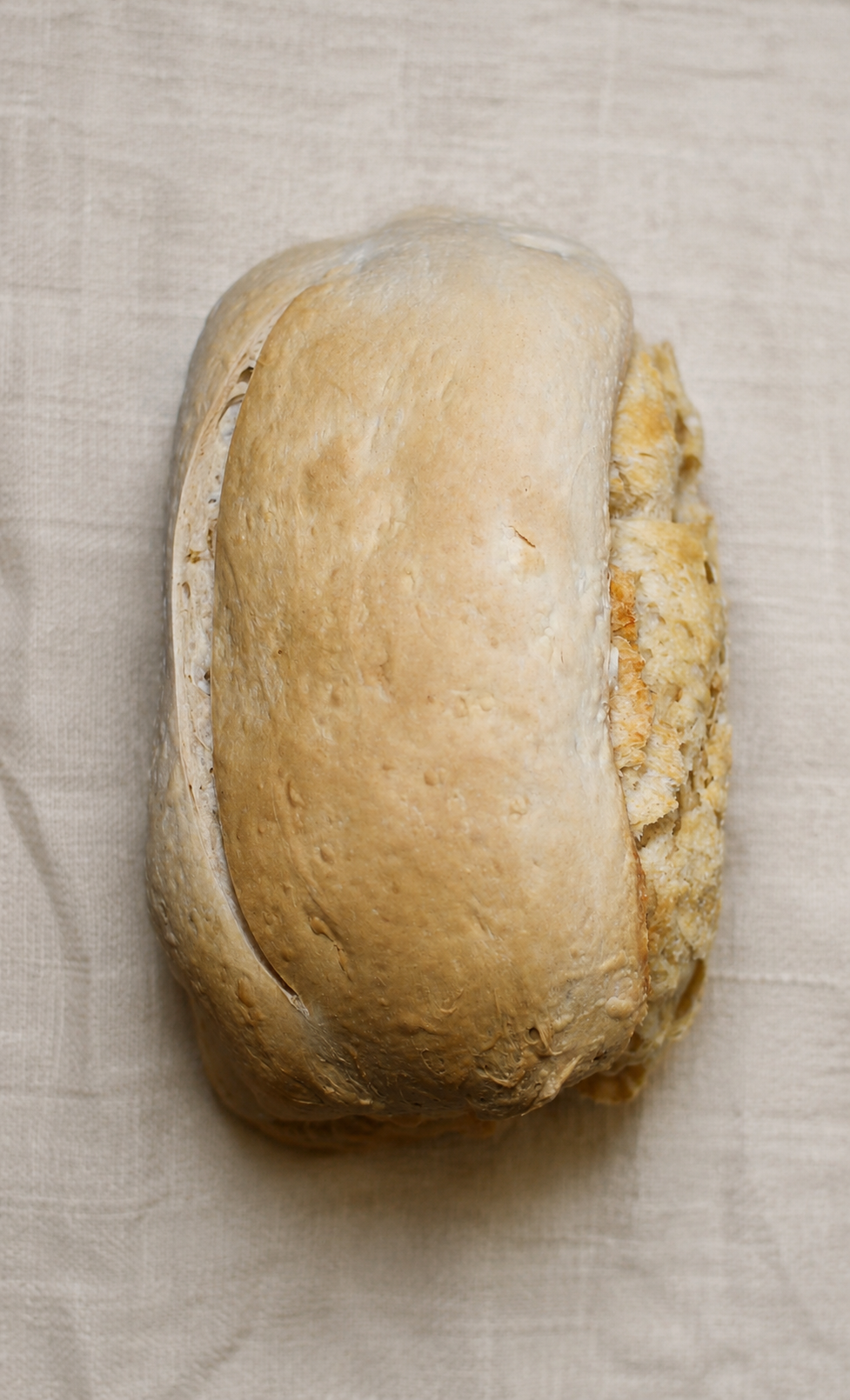 Sourdough Bread · Classic Loaf